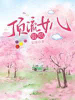 沈念陆明渊林清清
