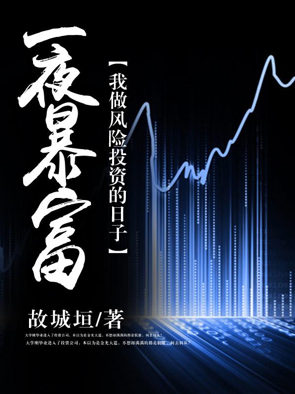 一夜暴富我做投行的日子