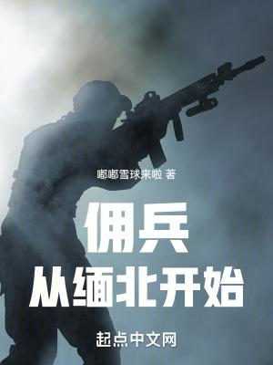 我在缅北当佣兵动漫